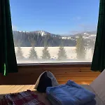Grey * Slavske