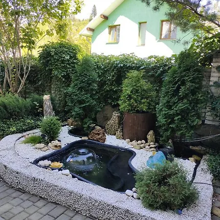 анасоль Славское