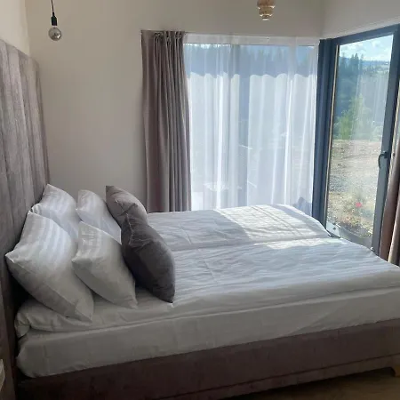 Holiday home Grey Slavske