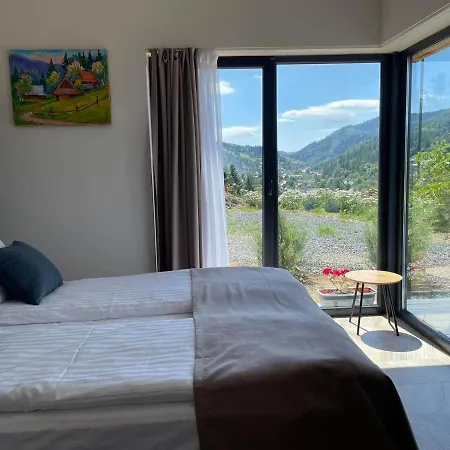 Grey Holiday home Slavske