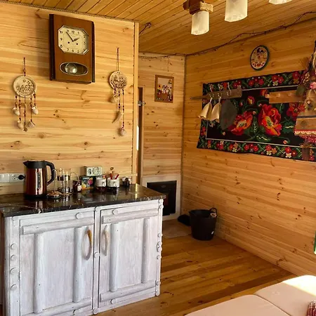 Grey Holiday home Slavske