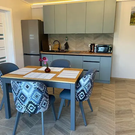 Grey Feriehus Slavske